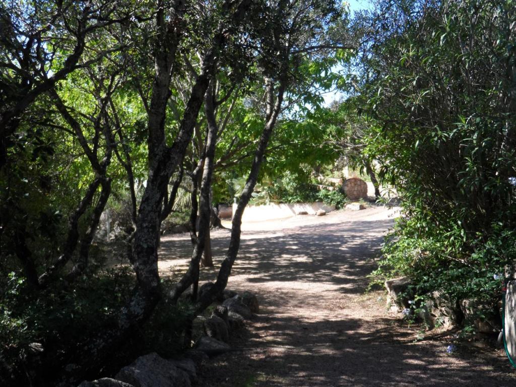 Appartement La Beloutiere Porto-Vecchio (Corsica)